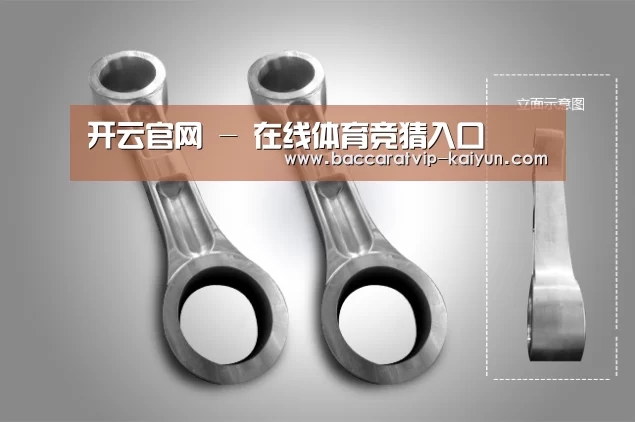 产品展示标题五