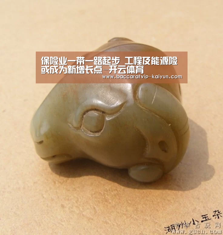 保险业一带一路起步 工程及能源险或成为新增长点-开云体育(图3) 开云体育