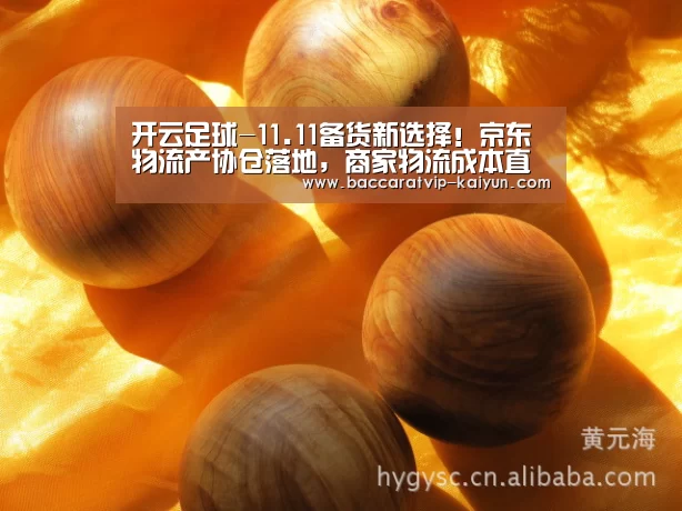 开云足球-11.11备货新选择!京东物流产协仓落地,商家物流成本直降50%(图2) 开云赛事