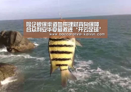 险企银保渠道血拼理财背向保障 合众利安华夏最激进‘开云足球’(图1) 开云体育