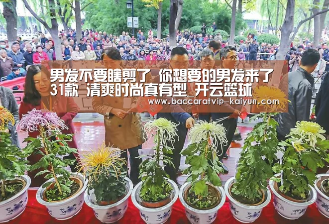 开云赛事