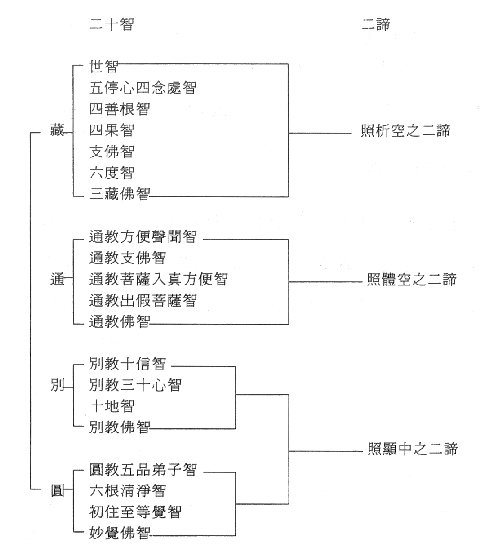开云体育