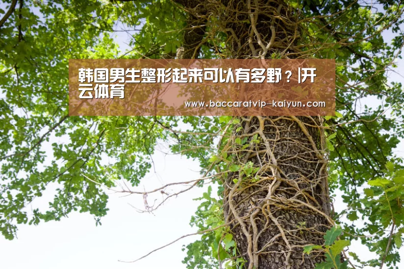 韩国男生整形起来可以有多野?|开云体育(图1) 开云篮球