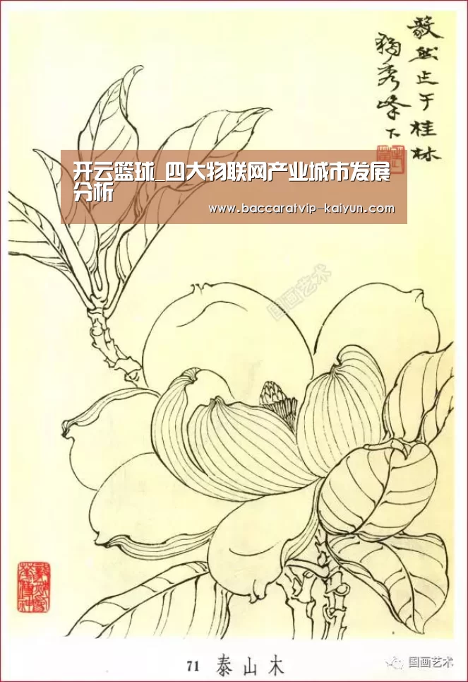 开云足球