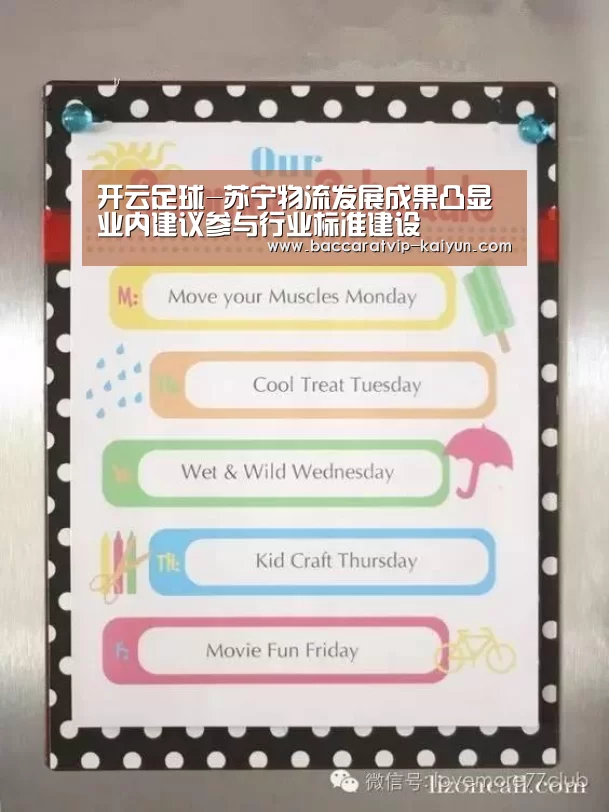 开云足球-苏宁物流发展成果凸显业内建议参与行业标准建设(图1) 开云赛事