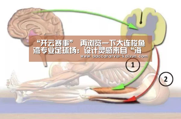 “开云赛事”
再浏览一下大连梭鱼湾专业足球场:设计灵感来自“海浪与海螺”(图4) 开云足球